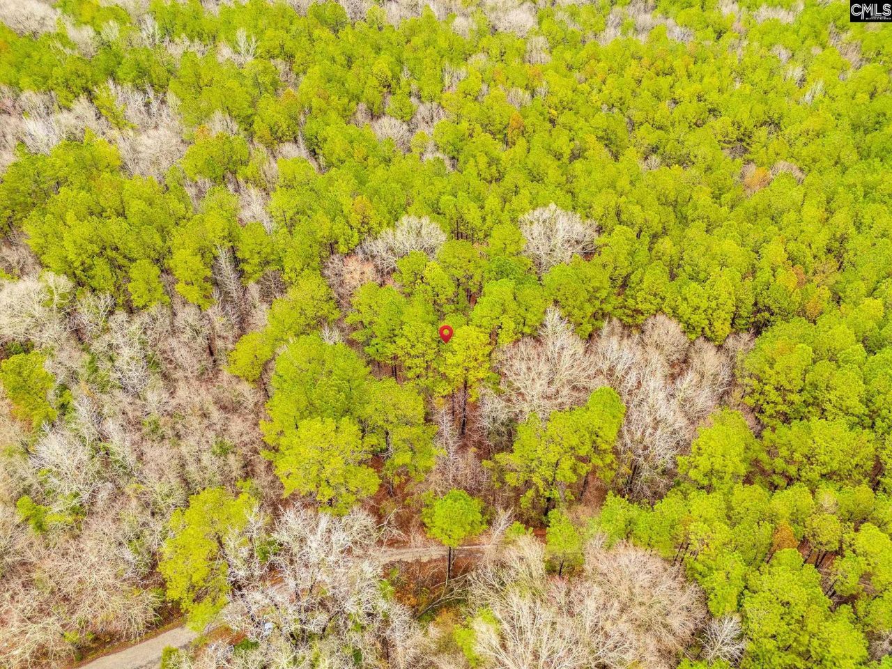 1152 Pineland Drive  Photo 5