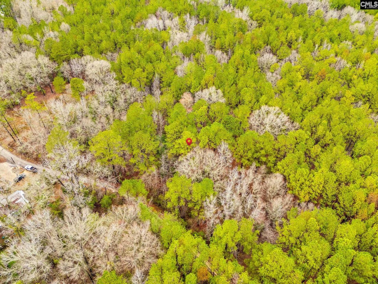 1152 Pineland Drive  Photo 6