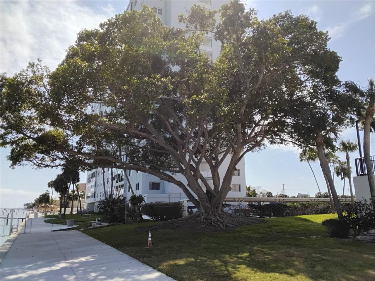 7100 Sunshine Skyway Lane S, Unit 705, Saint Petersburg, FL 33711 Photo