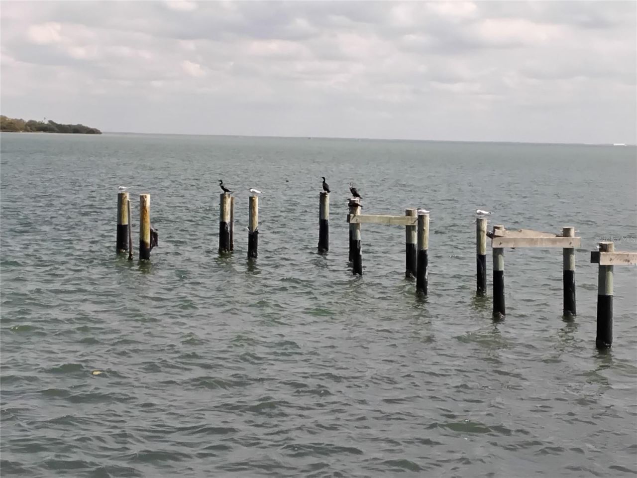 7100 Sunshine Skyway Lane S, Unit 705, Saint Petersburg, FL 33711 Photo