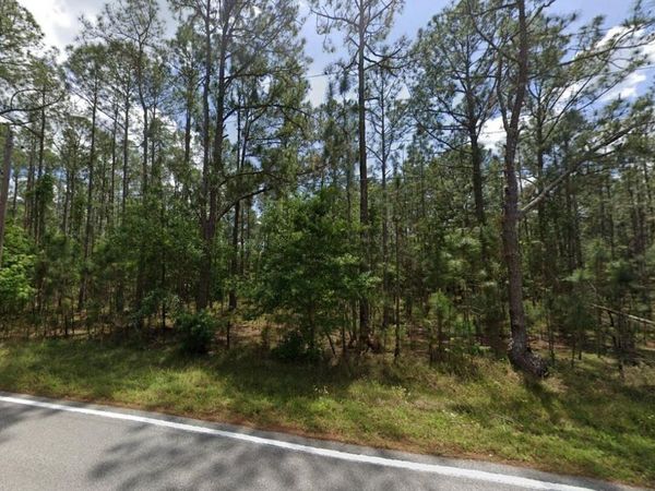 POYNER OAKS ROAD N, POLK CITY, FL 33868