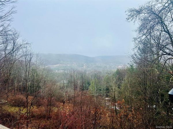 395 Back Shandelee Road, Livingston Manor, NY 12758