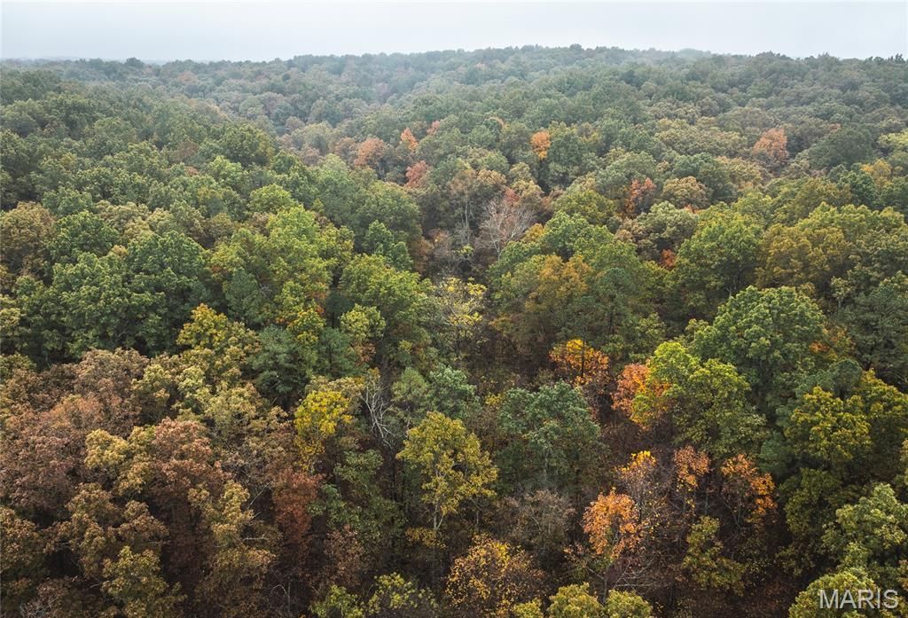 0 Lodge Tract 6 Road, Bourbon, MO 65565 Main Photo