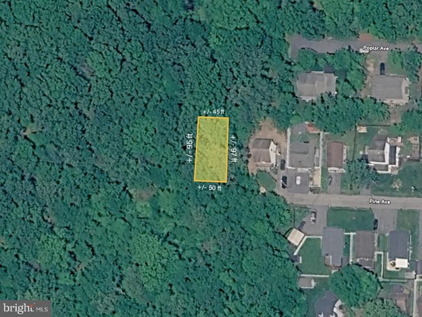 Pine Avenue, Shady Side, MD 20764 Main Photo