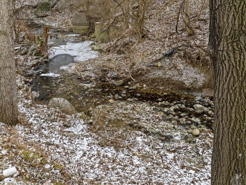 985 Linworth Village Drive, Columbus, OH 43235 Photo 40