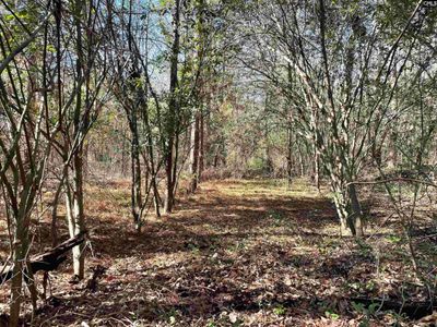 0 Green Hills Drive, Gilbert, SC 29054