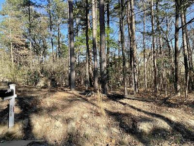 0 Green Hills Drive, Gilbert, SC 29054