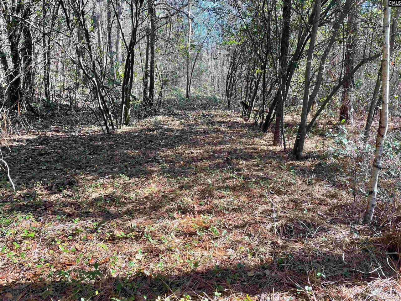 0 Green Hills Drive Photo 10