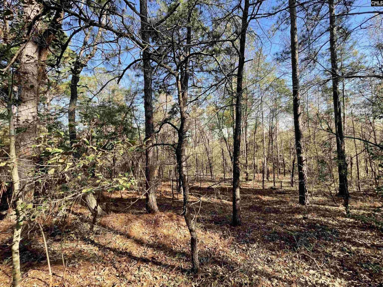 0 Green Hills Drive Photo 11