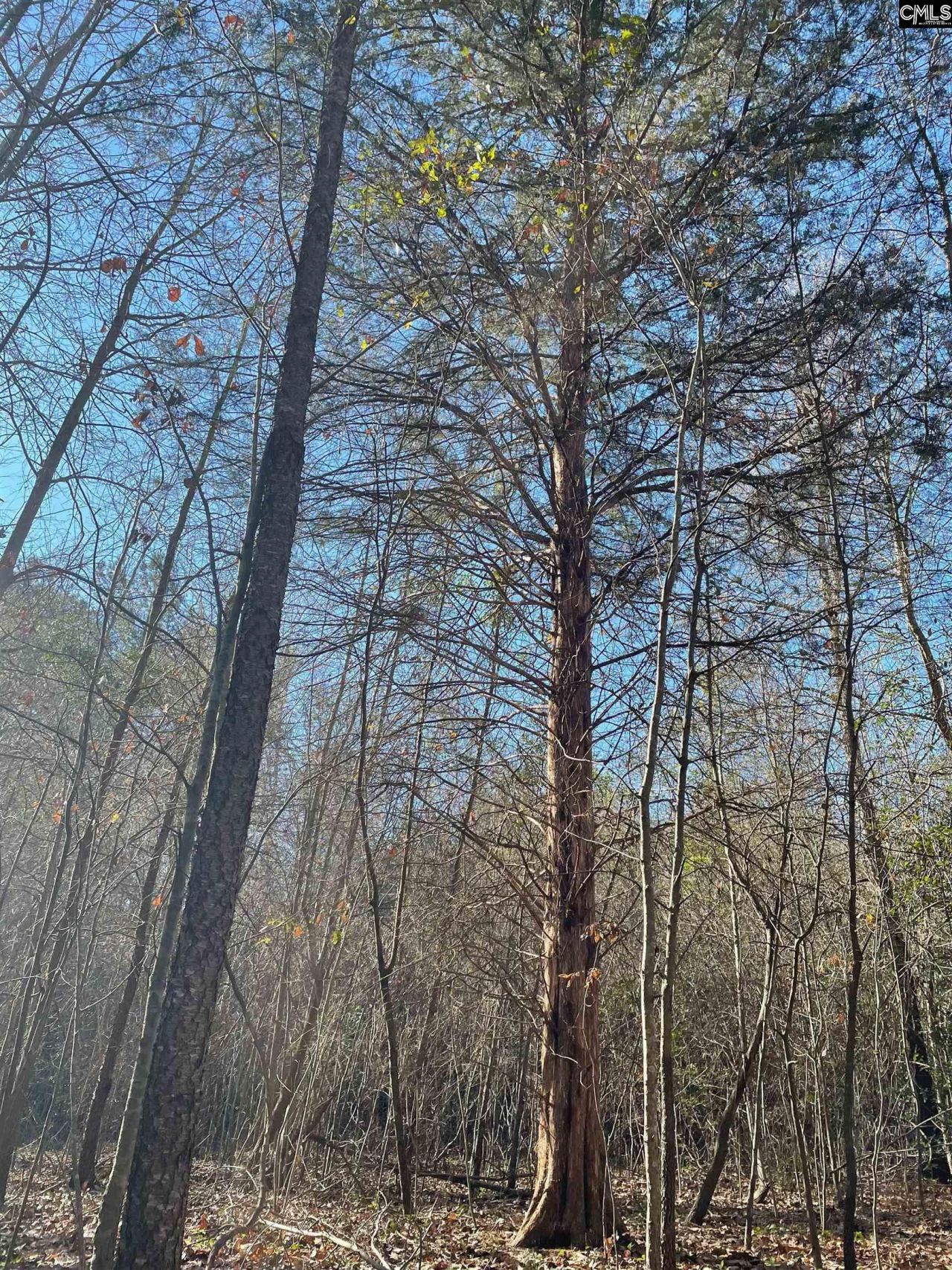 0 Green Hills Drive Photo 12