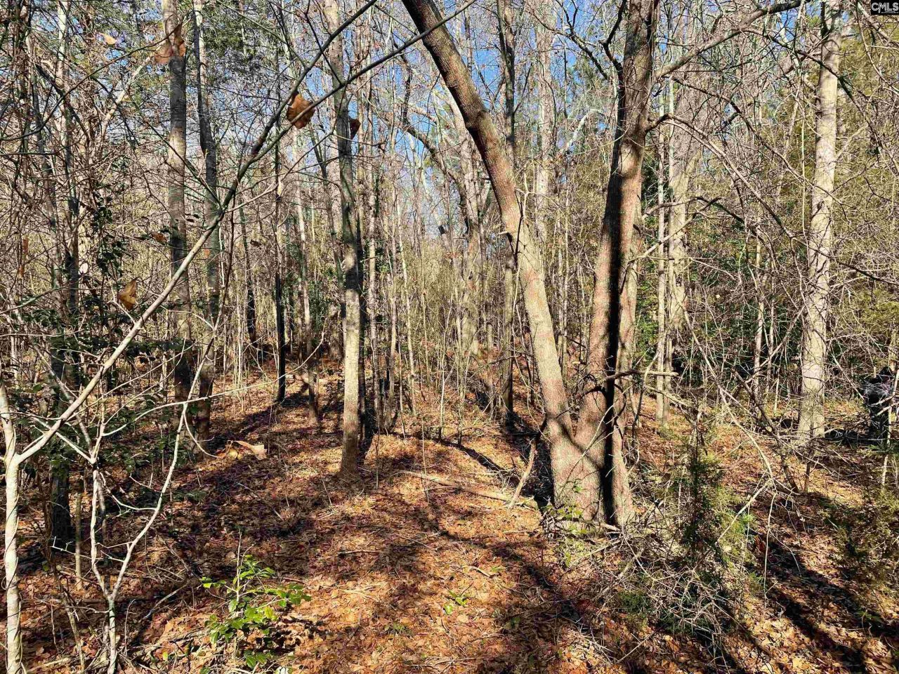 0 Green Hills Drive Photo 13