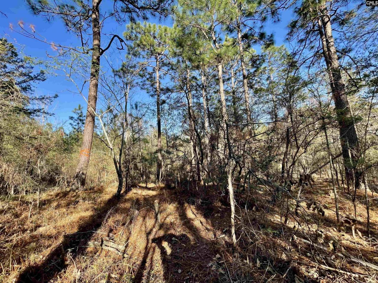 0 Green Hills Drive Photo 14