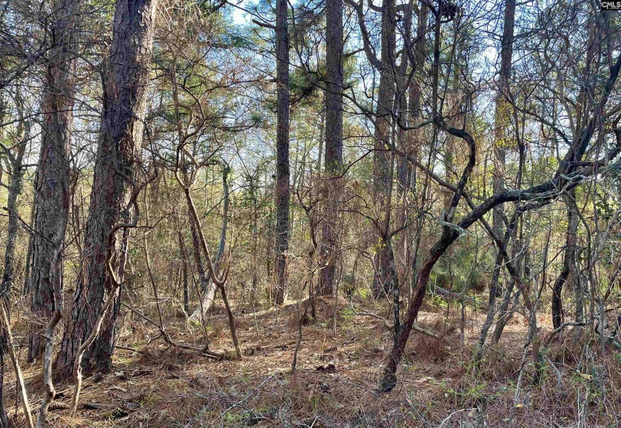 0 Green Hills Drive Photo 16