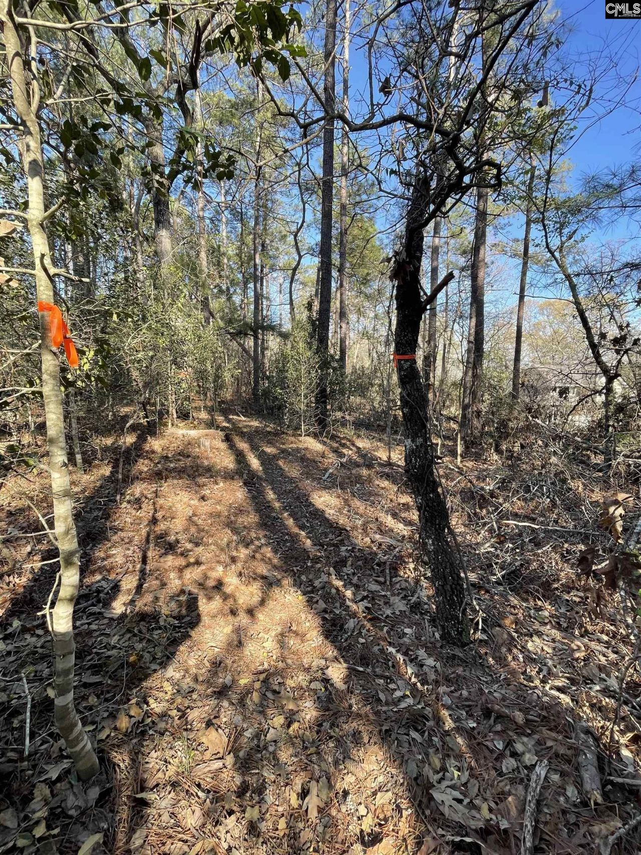 0 Green Hills Drive Photo 17