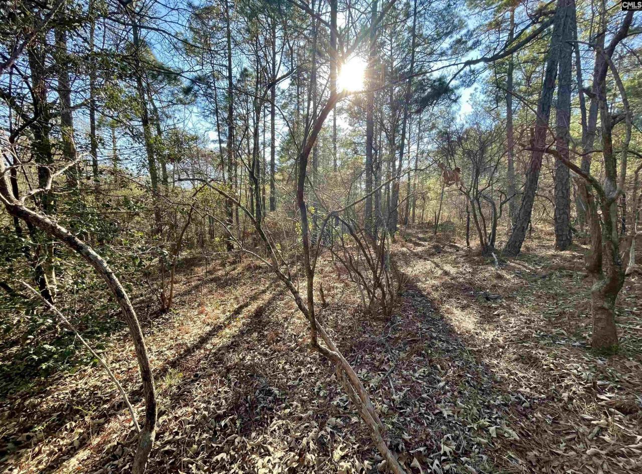 0 Green Hills Drive Photo 5