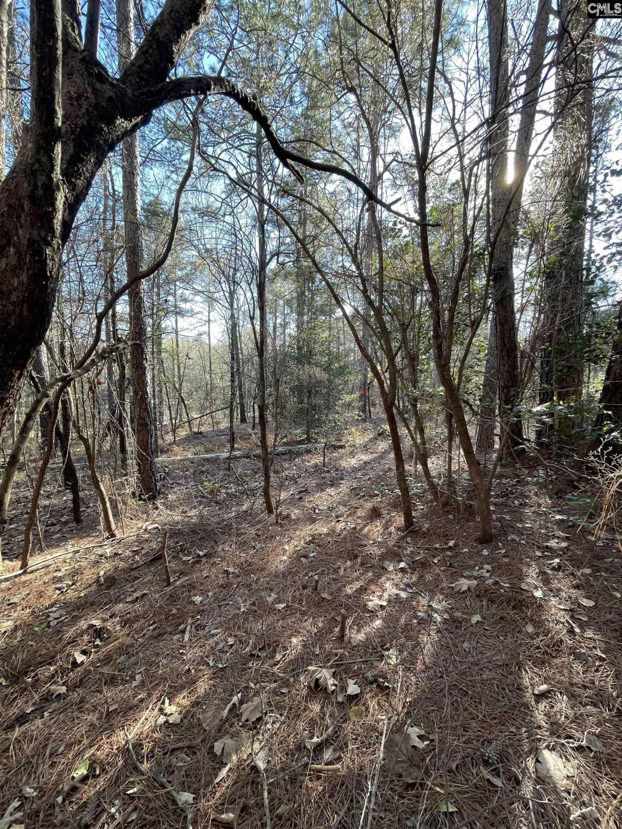 0 Green Hills Drive Photo 6