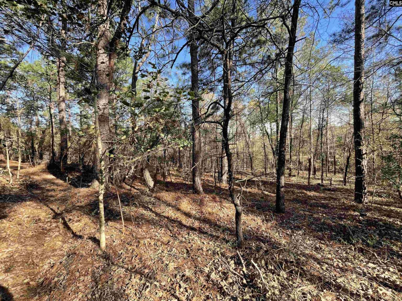 0 Green Hills Drive Photo 7