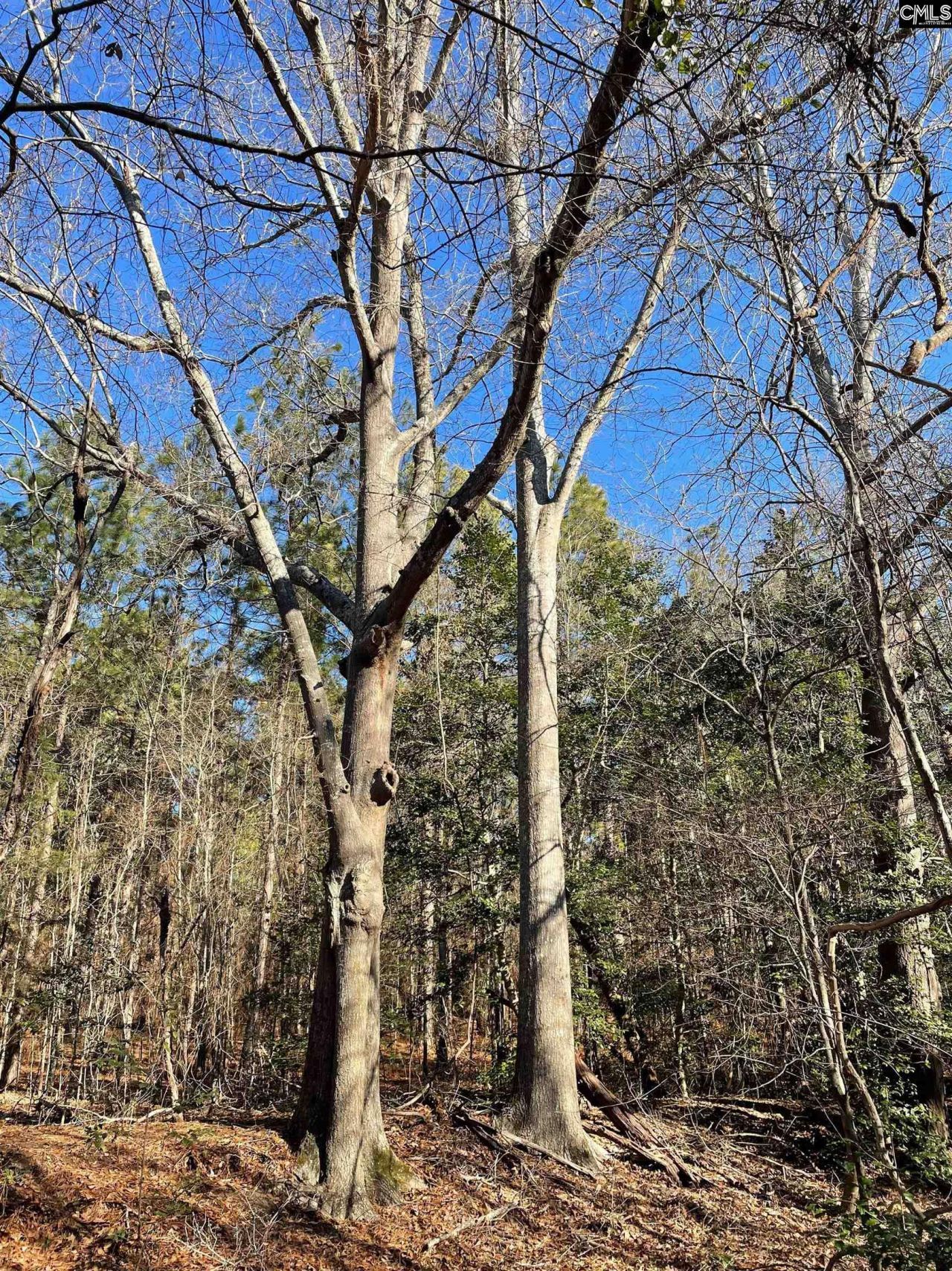 0 Green Hills Drive Photo 8