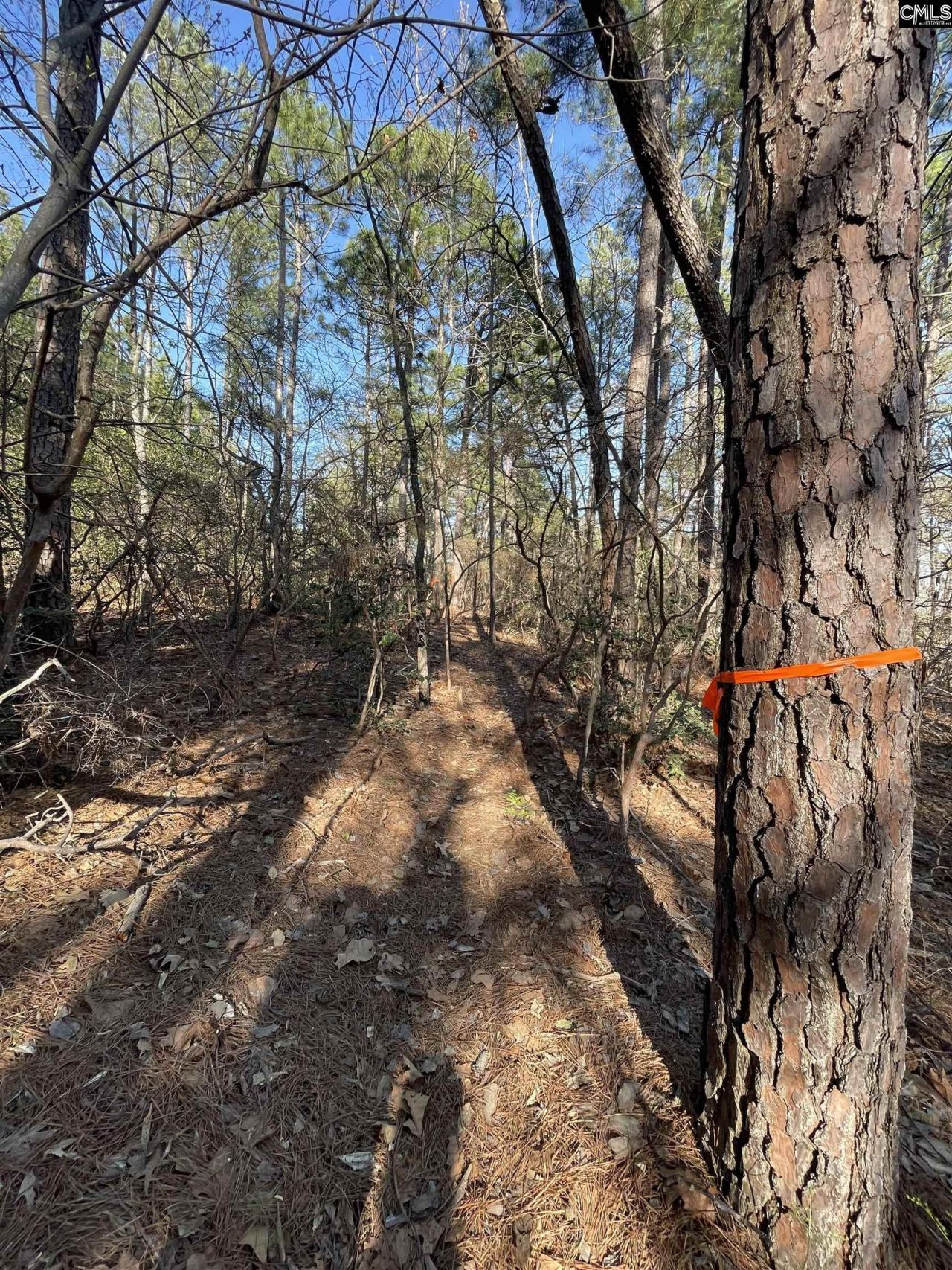 0 Green Hills Drive Photo 9