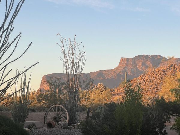 5098 S RED YUCCA Lane, Gold Canyon, AZ 85118