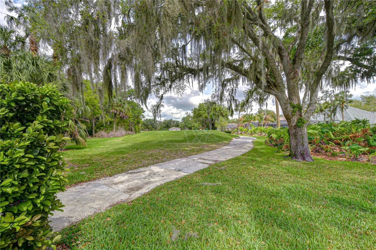 5910 Cherry Oak Drive , Valrico, FL 33596 Photo