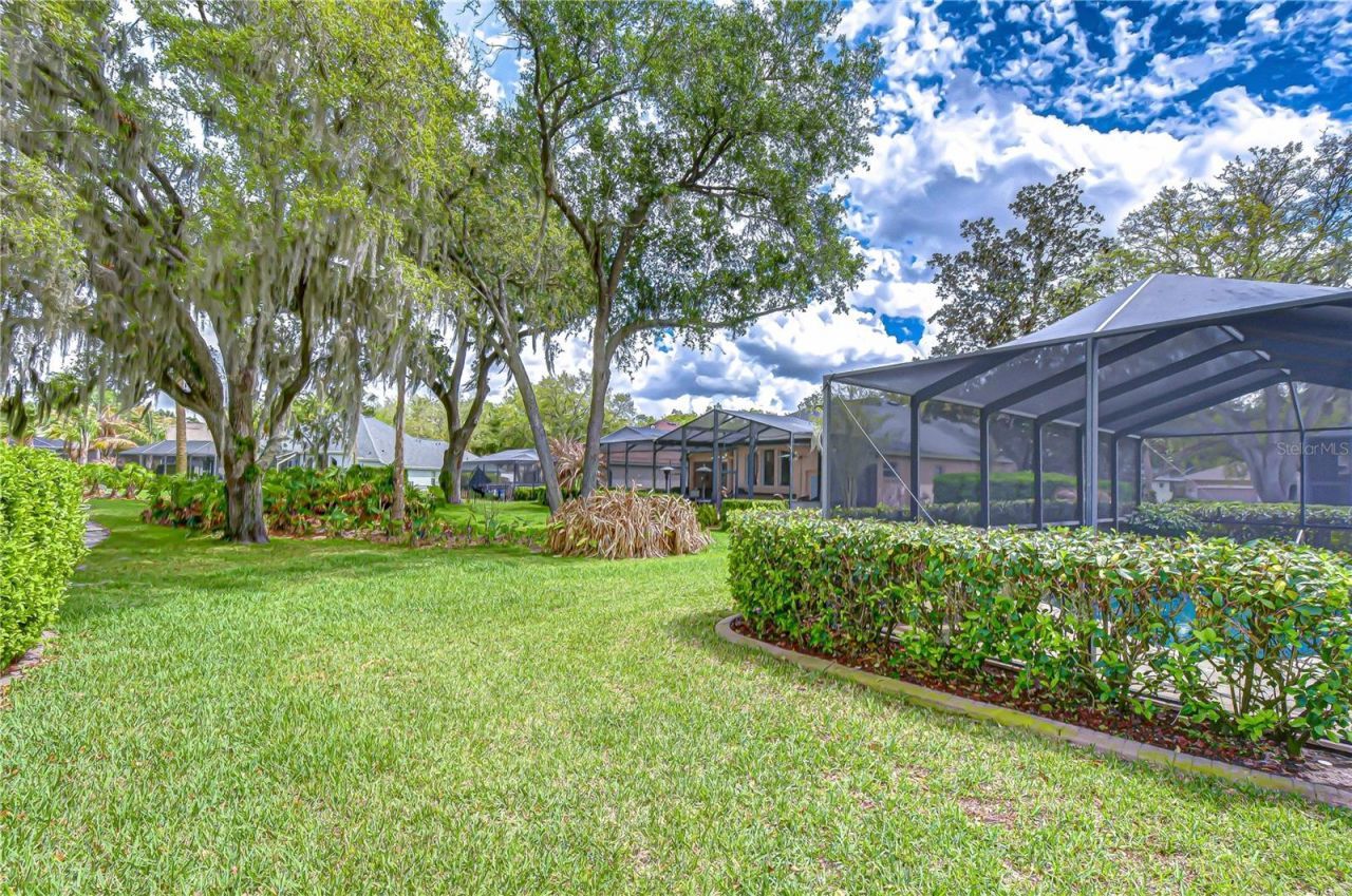 5910 Cherry Oak Drive , Valrico, FL 33596 Photo