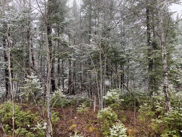 913 Skedgell Road , Cary Plt, ME 04471