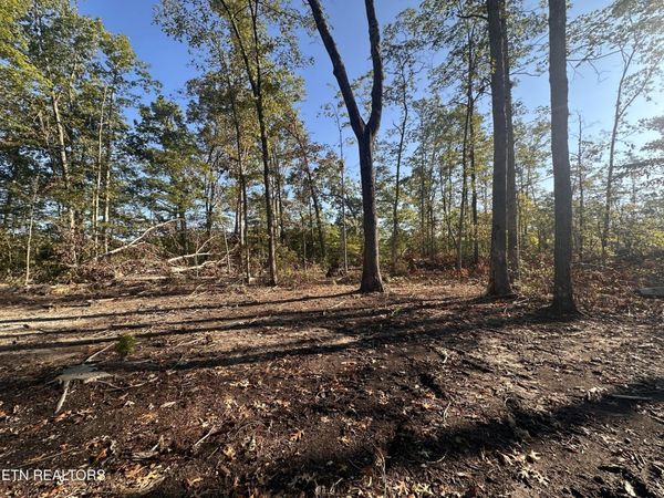 1153 Government Pond Rd , Jamestown, TN 38556