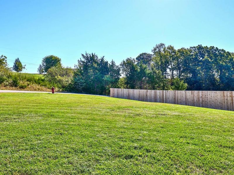 313 Stephens Drive, Falmouth, KY 41040 Photo 30