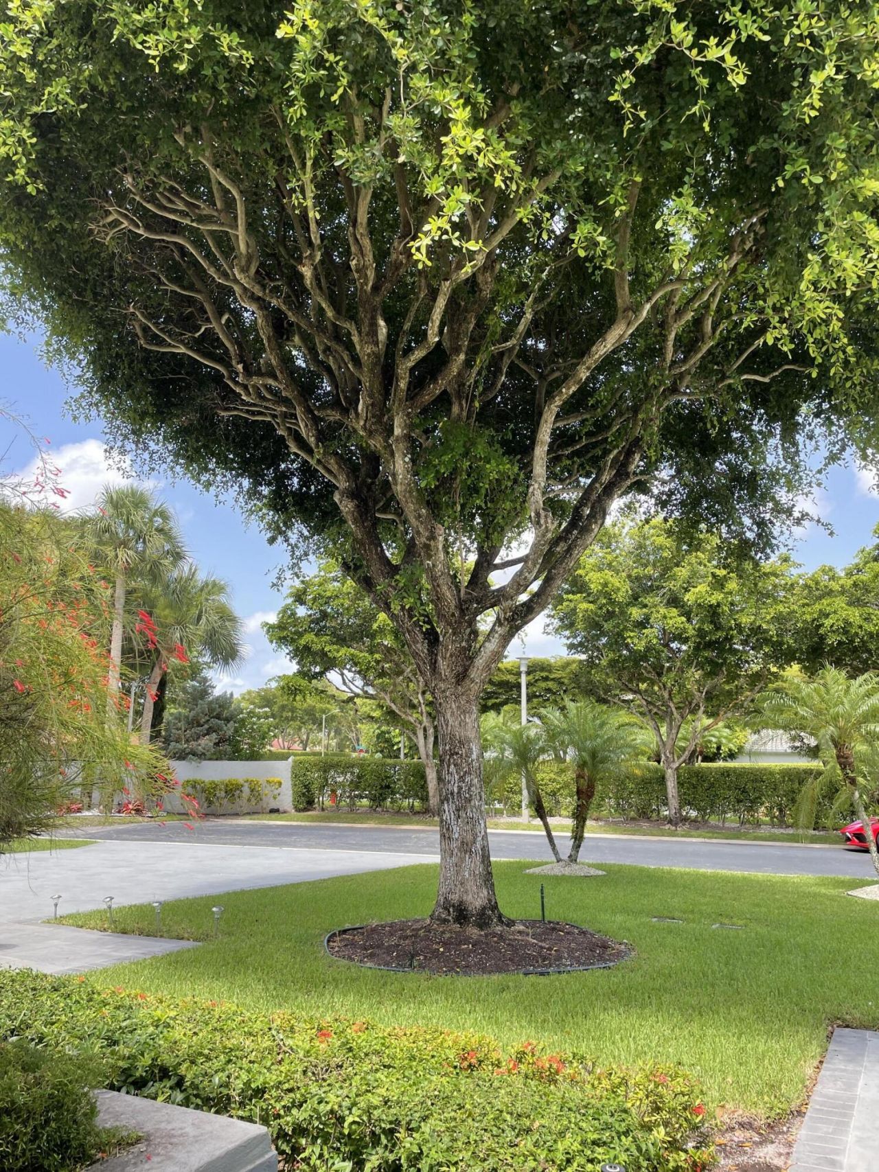 11530 Briarwood Circle, Unit 1, Boynton Beach, FL 33437 Photo