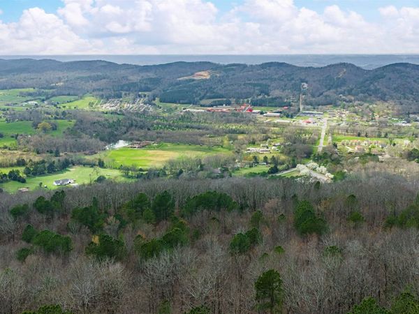 37.2 Acres Highway 68, Collinsville, AL 35961