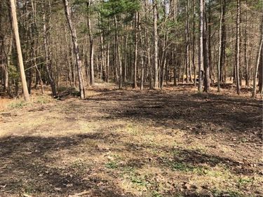 Maple Drive , Milford, NY 13807