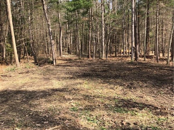 Maple Drive, Milford, NY 13807