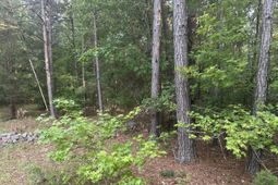 320 Dewdrop Drive photo 4