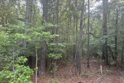 320 Dewdrop Drive photo 4