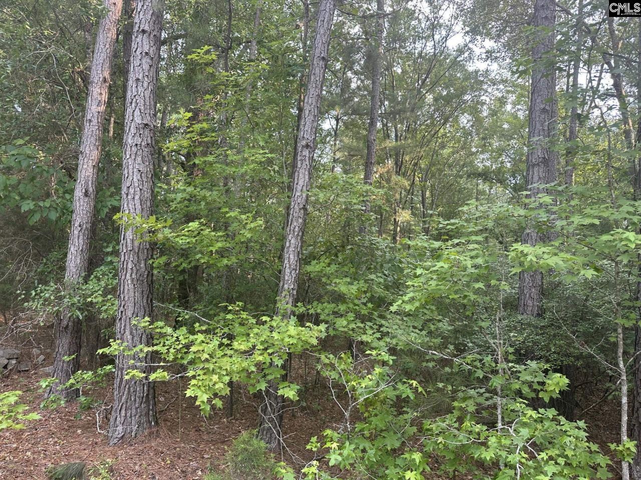 320 Dewdrop Drive Photo 4