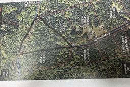 320 Dewdrop Drive photo 4