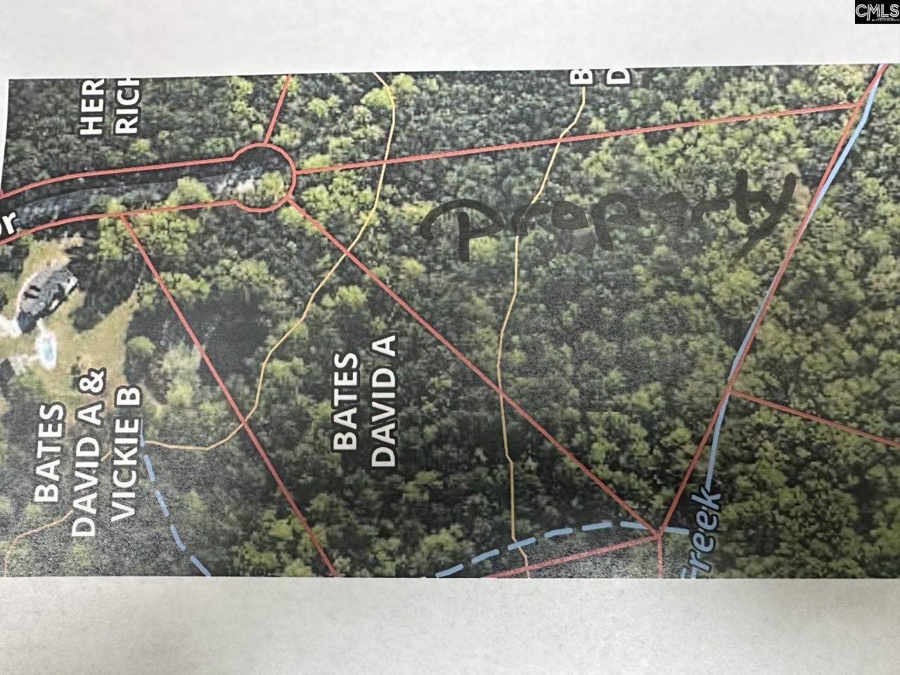 320 Dewdrop Drive Photo 6