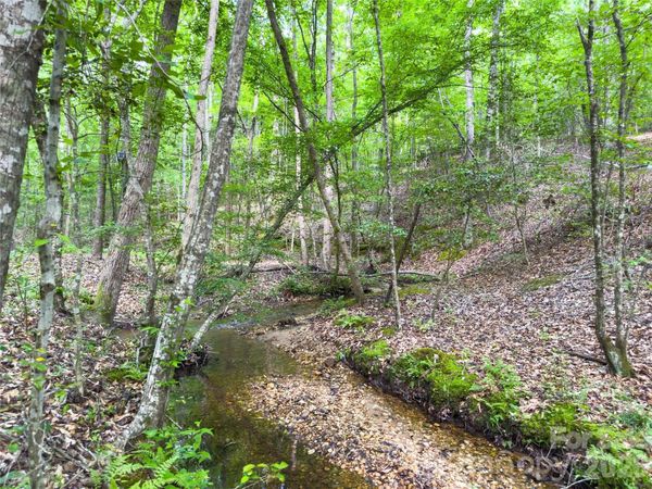 0 Old Charlotte Highway , Rockingham, NC 28379