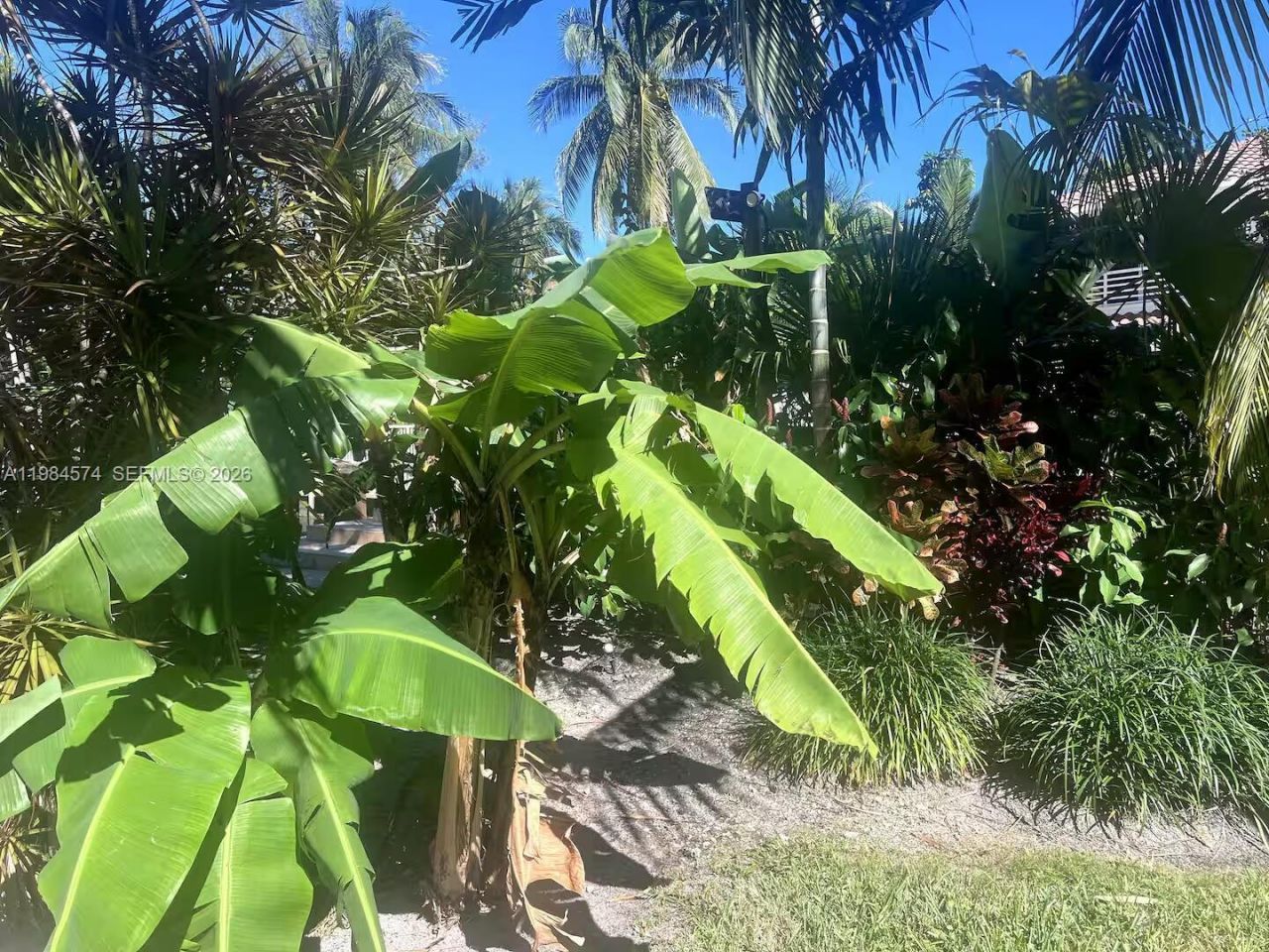 3401 NE 165th St, North Miami Beach, FL 33160 Photo