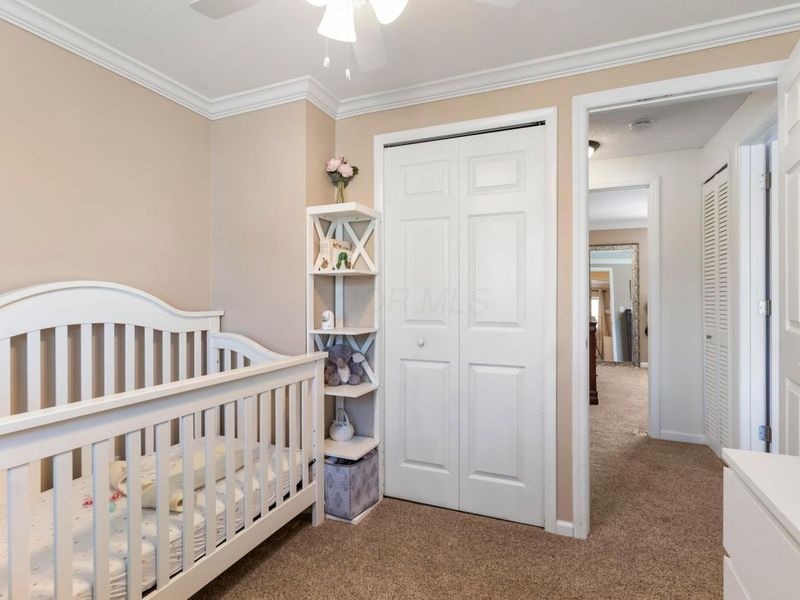 1751 Darrow Drive, Powell, OH 43065 Photo 16