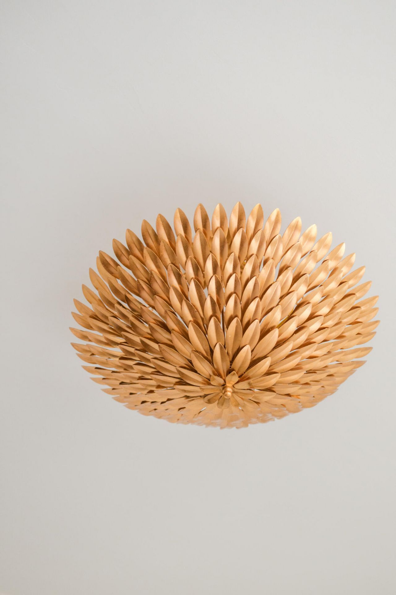 63 Montagu Street Photo 43