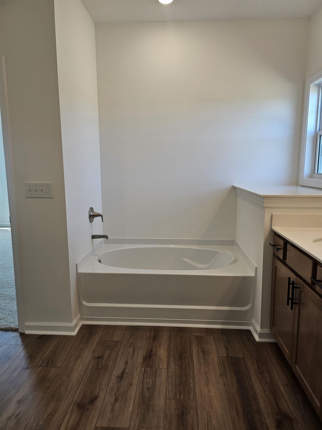 173 River Birch Dr. Photo 27