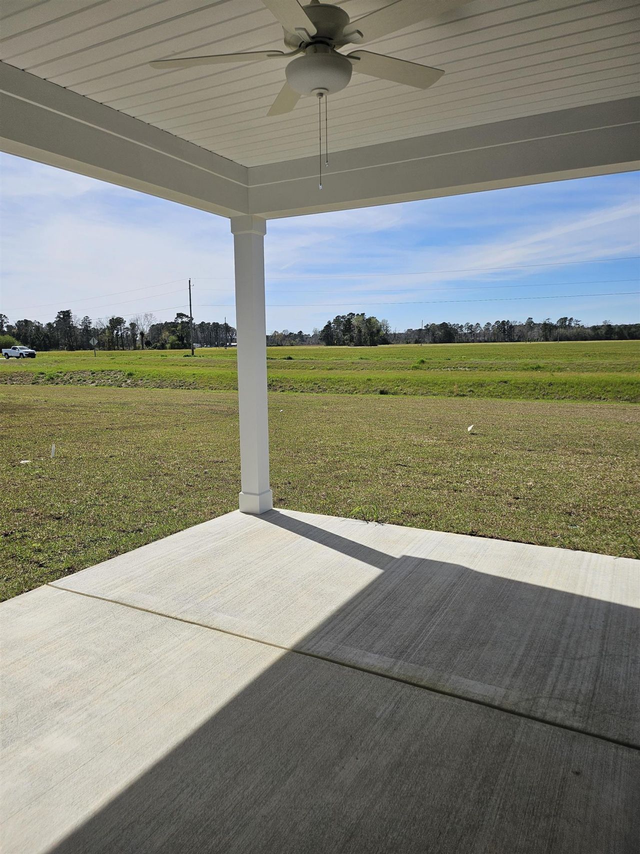 173 River Birch Dr. Photo 37