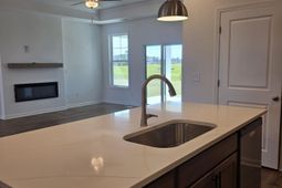 173 River Birch Dr. photo 4