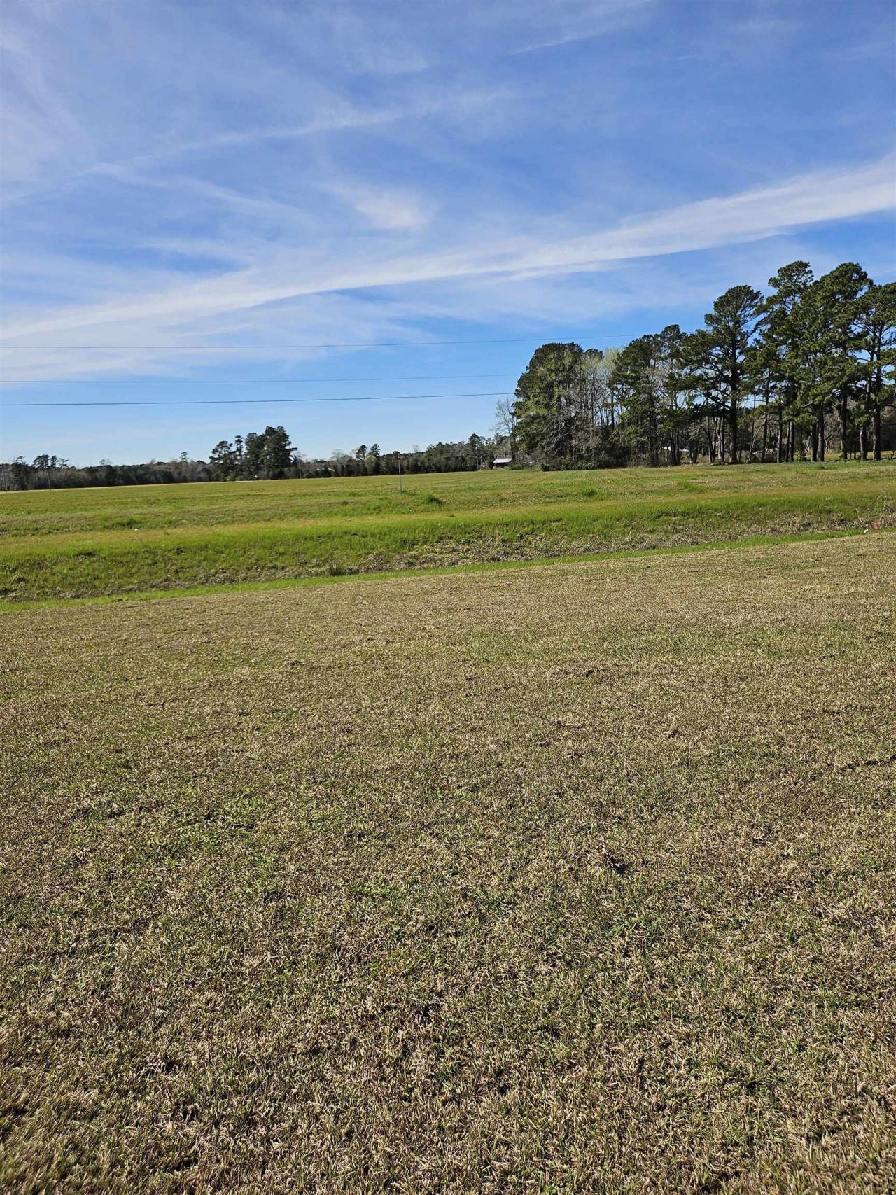 173 River Birch Dr. Photo 40