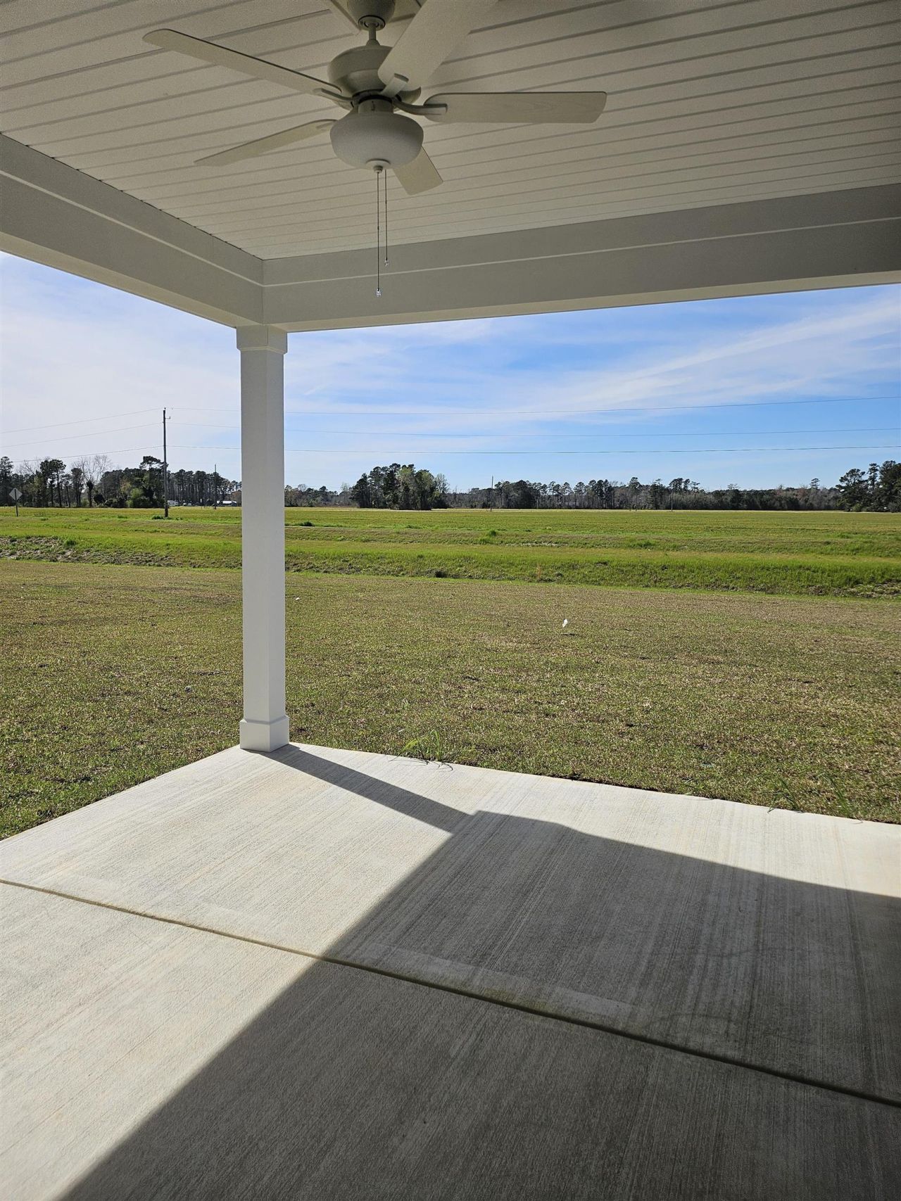 173 River Birch Dr. Photo 41