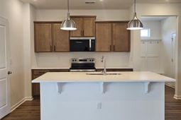 173 River Birch Dr. photo 4