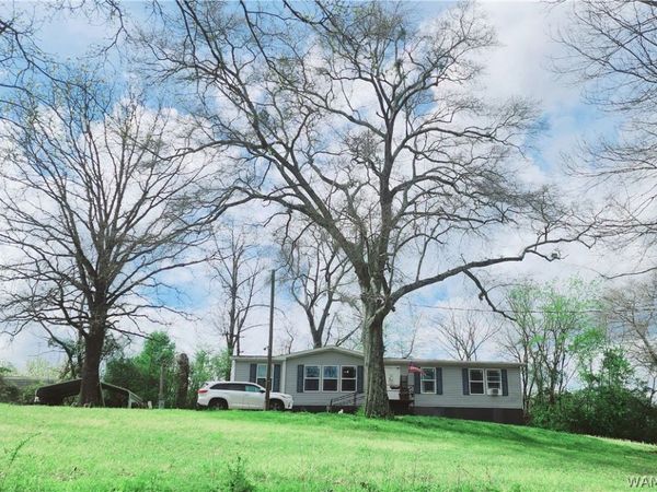 10785 MACKS Road, Coaling, AL 35453