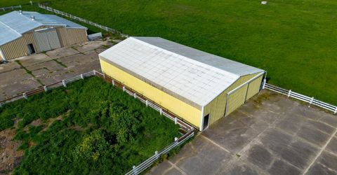 11551 E Tokay Colony Rd, Lodi, CA 95240 Photo